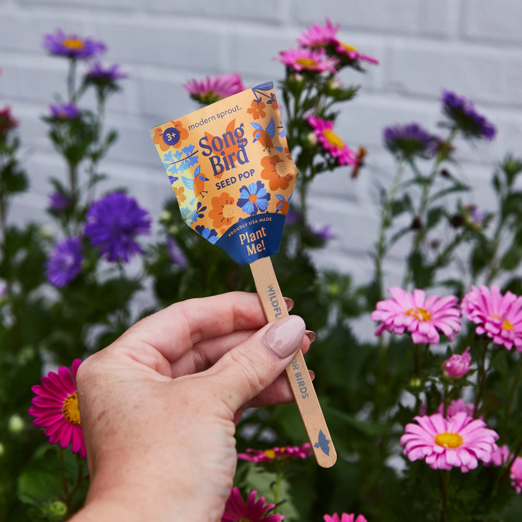 Pollinator Seed Pops by Modern Sprout