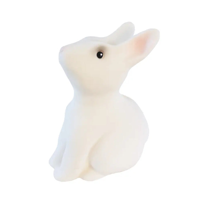 Rabbit Savings Bank by Egmont