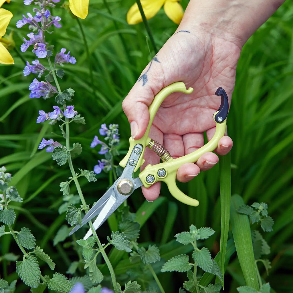 Garden Shears by Modern Sprout