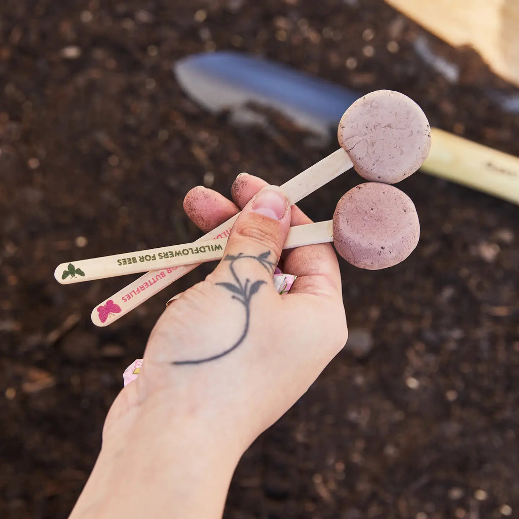 Pollinator Seed Pops by Modern Sprout