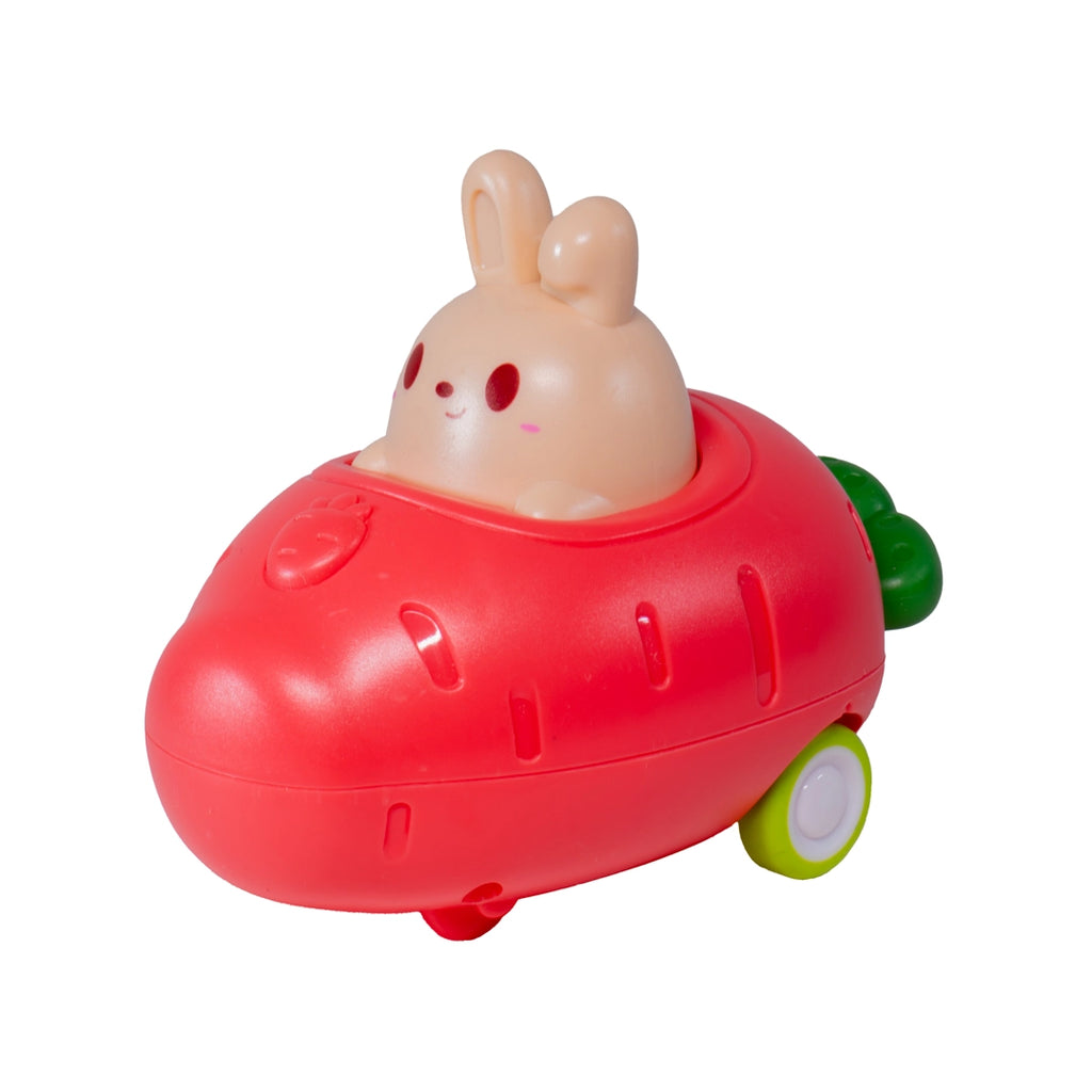 Push N' Go Bunny Car by Toysmith