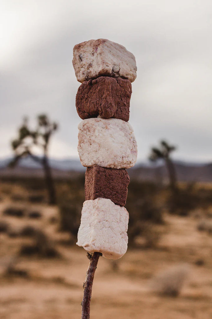 Cocoa Dipped Marshmallows Handmade By Mojave Mallows