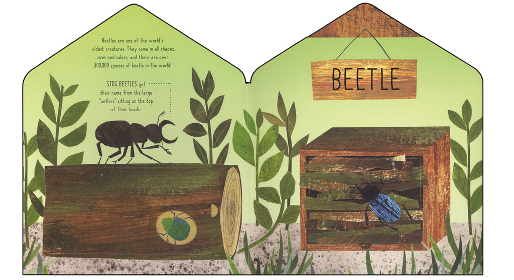 Bug Hotel Discovery Board Book by Clover Robin