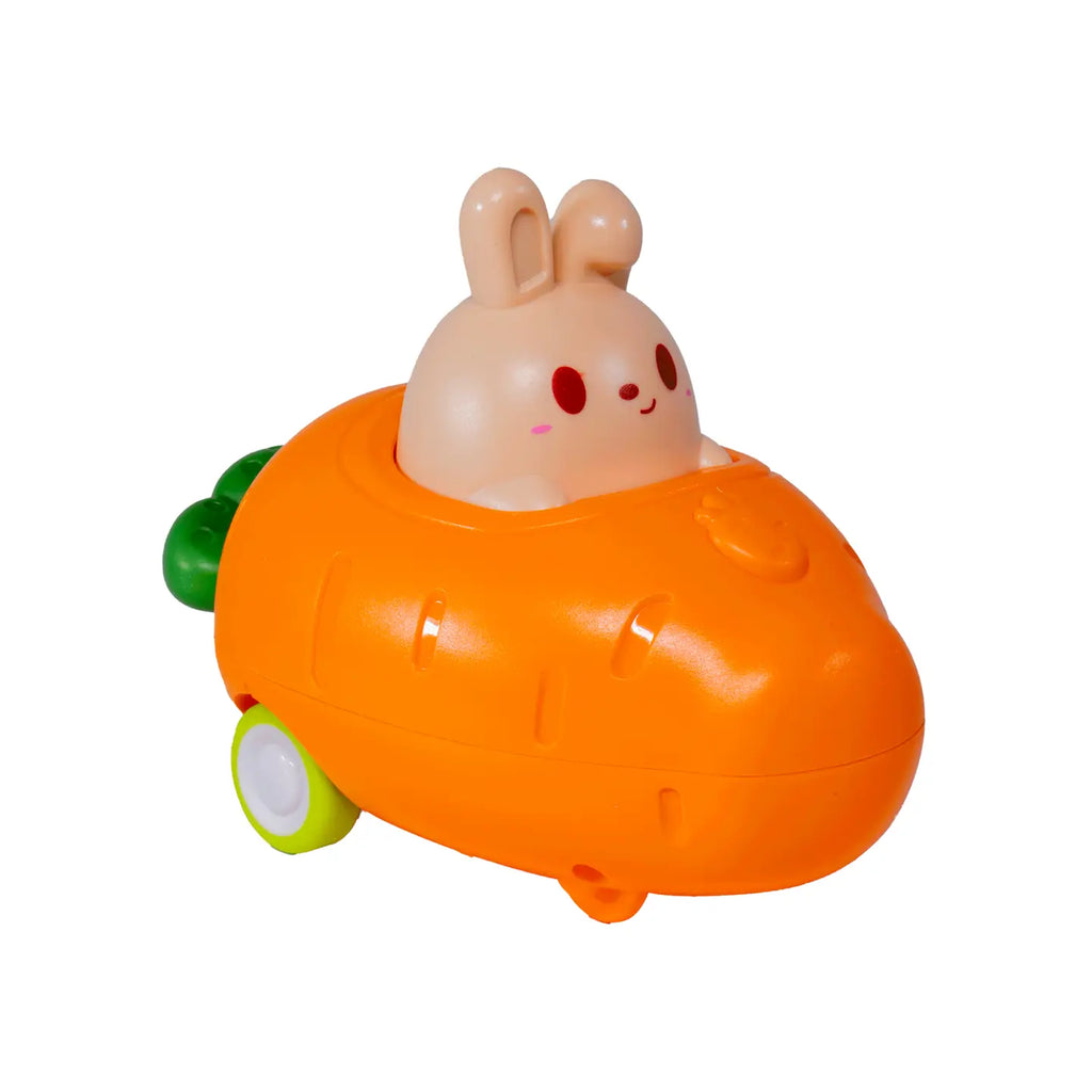 Push N' Go Bunny Car by Toysmith